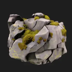 Lichen-Infused Rock Form