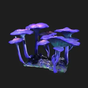 Bio-luminescent Mushroom Cluster