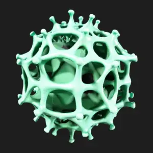 Cellular Structure Model