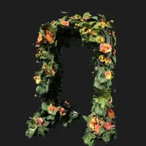 Nature’s Dimensional Gateway